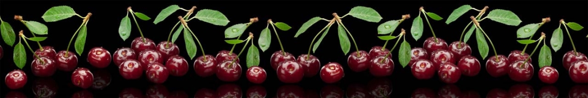 skinali 0448